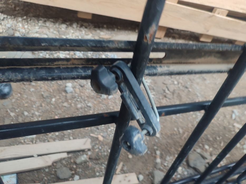 Богажник завадской