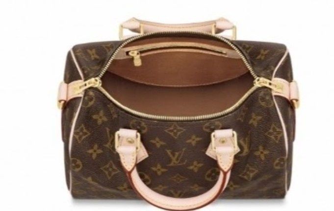 Set LV Speedy Medium,diverse nuanțe /geanta +portofel/saculet inclus