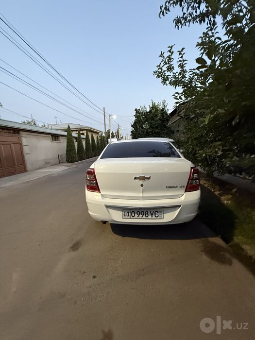 Kobalt sotladi 2025