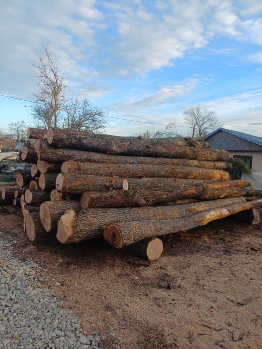 Vand lemn..taiat,crapat.