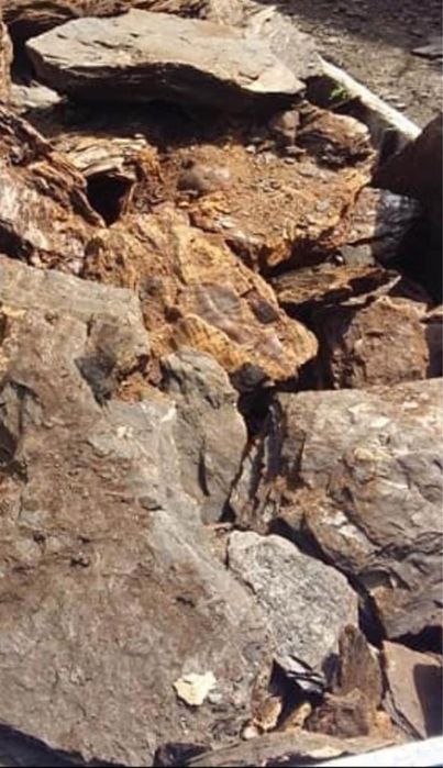 Cărbune lignit pentru centrale temice