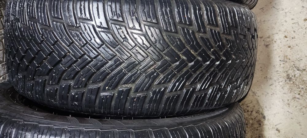 Зима+Лита Ласса размер 17/4 шт 225*55