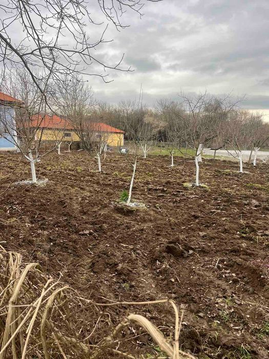 Продава се Парцел в София, Център - 780 кв.м за 41 €/кв.м - Снимка #3