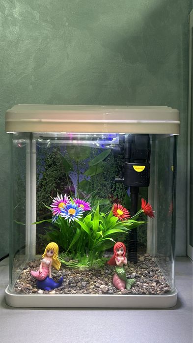 Аквариум 10 л для петушка (Betta)