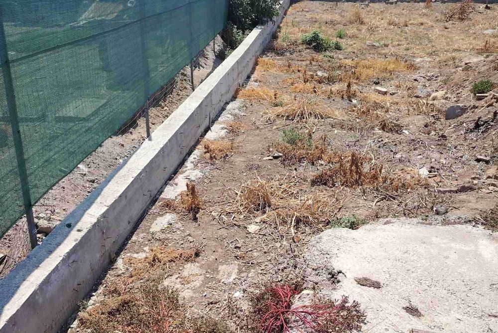 Продава се Парцел в Белене - 508 кв.м за 45 €/кв.м - Снимка #6