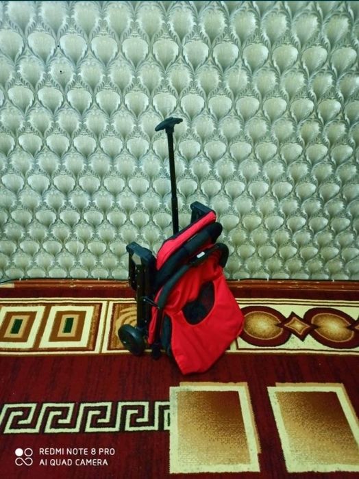 Лёгкая коляска чемодан