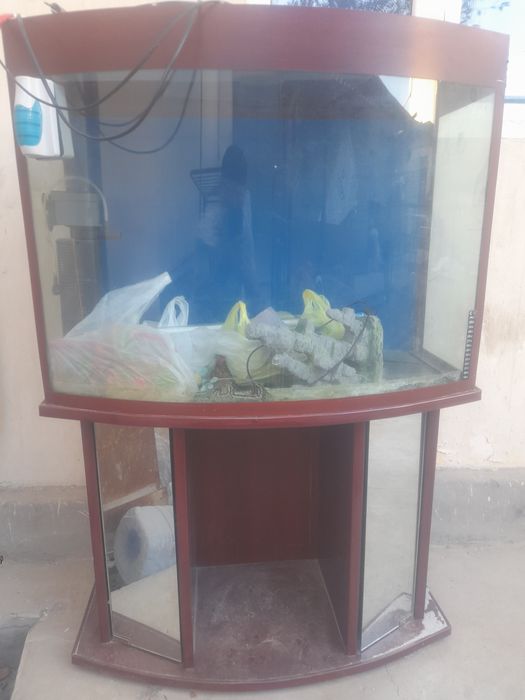 Akvaryum arzon sotiladi