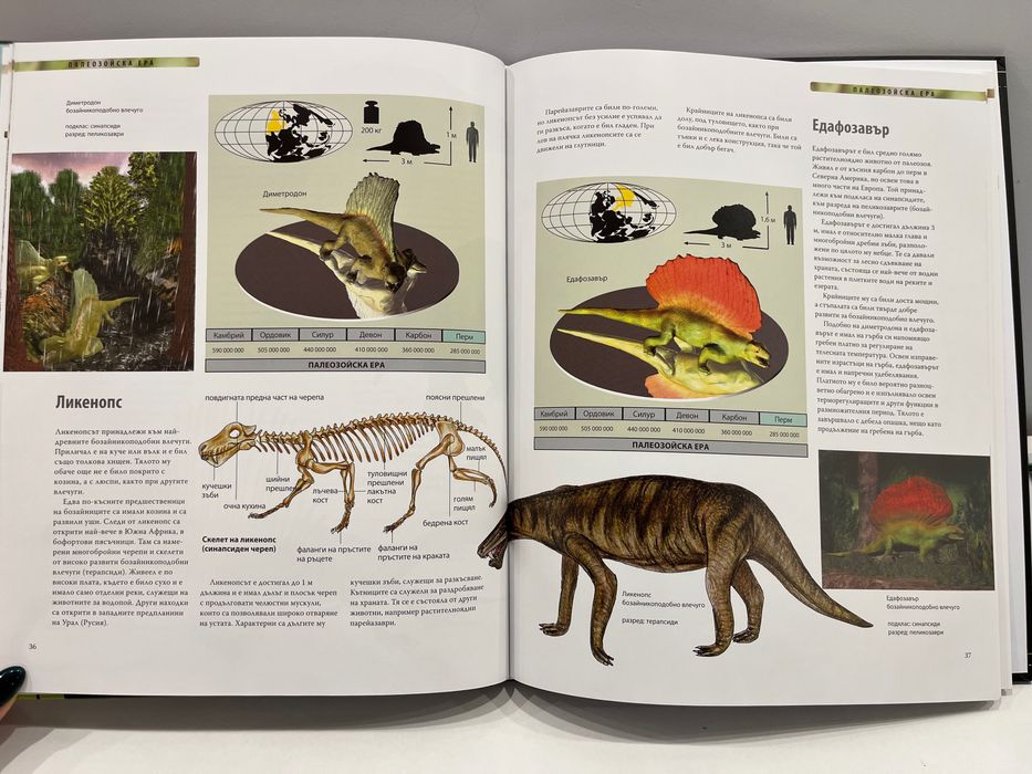 НОВА Енциклопедия - Динозаврите