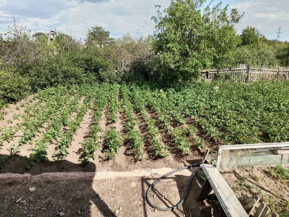 Продам дачу с домиком