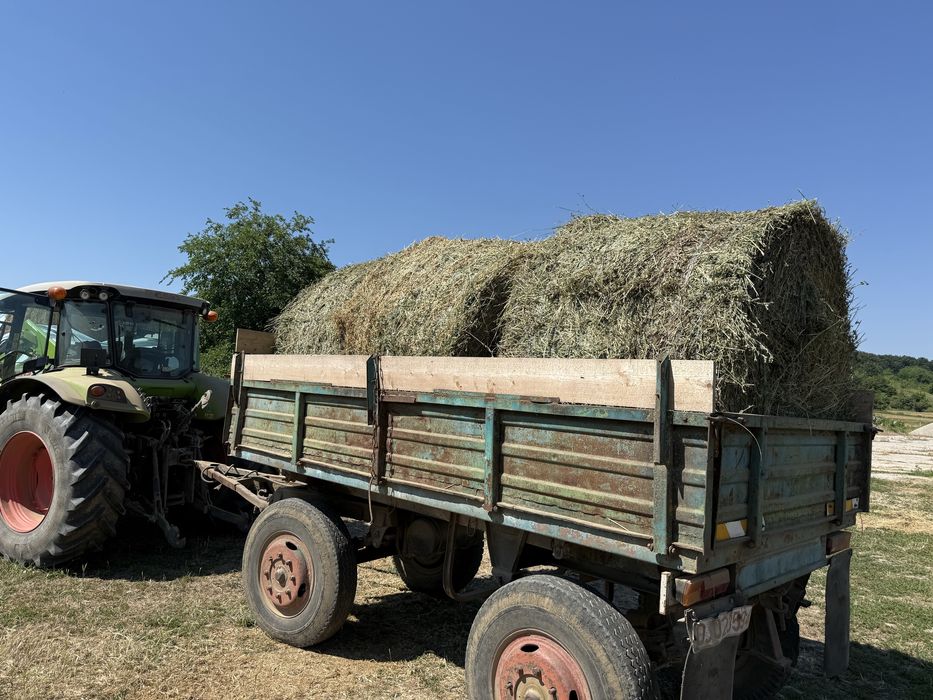 Lucernă ECOLOGICA baloți mari rotunzi 120/120 si 150/120