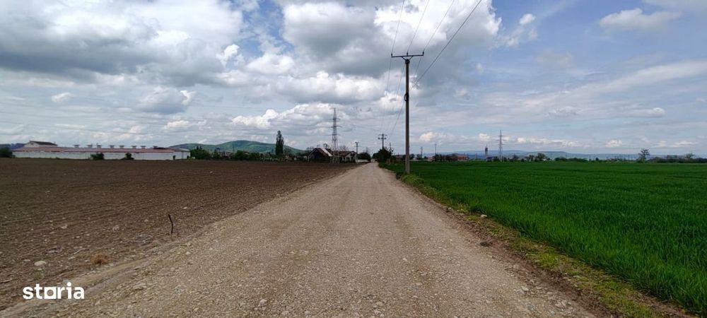 Teren  pentru depozitare sau activitati industriale langa DN 11