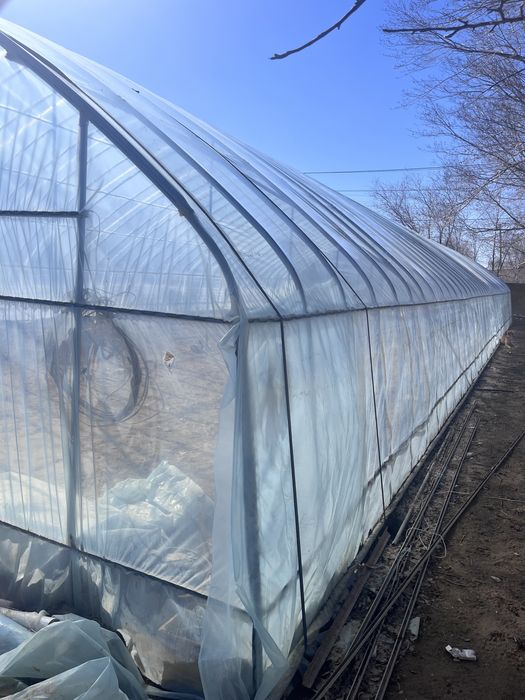 Типлица сатылады срочно, размер: 30/11 (310кв)