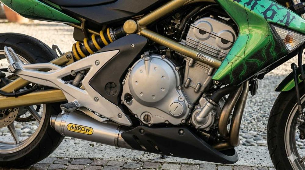 Motocicleta Kawasaki ER6N