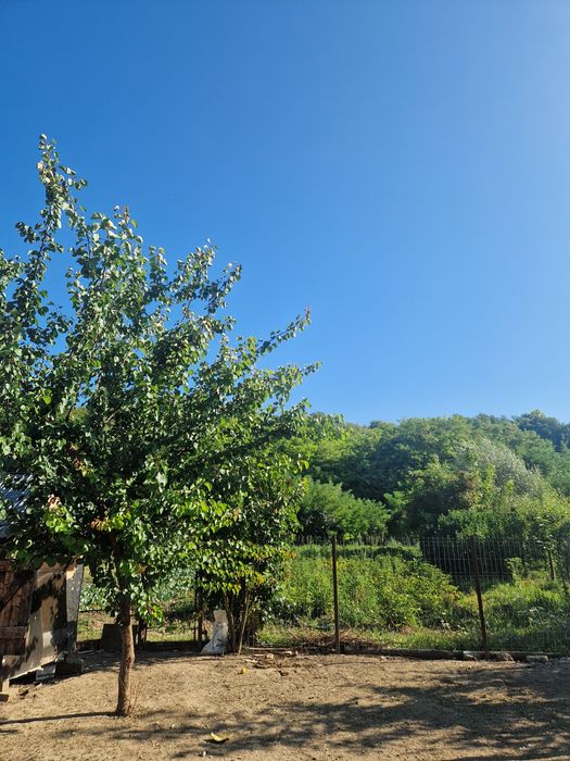 Casa de vanzare  plus vad comercial plus 3000mp Cristesti,  Pascani ,IasiE 85, 100.000 euro negociabil,nr.tel0764842630
