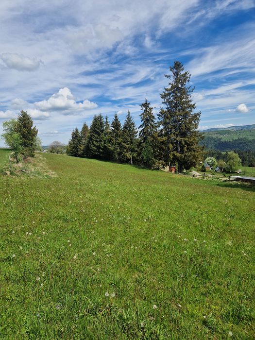 Teren  de vânzare