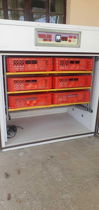 Inkubatr 825 holati zor