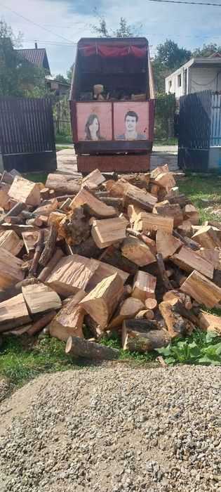 Fag și stejar de vanzare