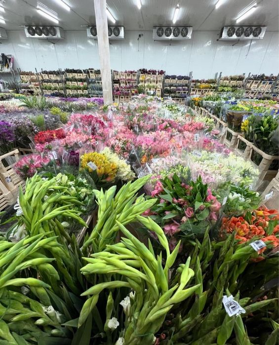 Пионы, Розы со склада большой выбор