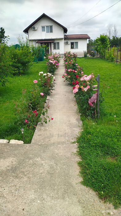 Vânzare casa Mânăstioara