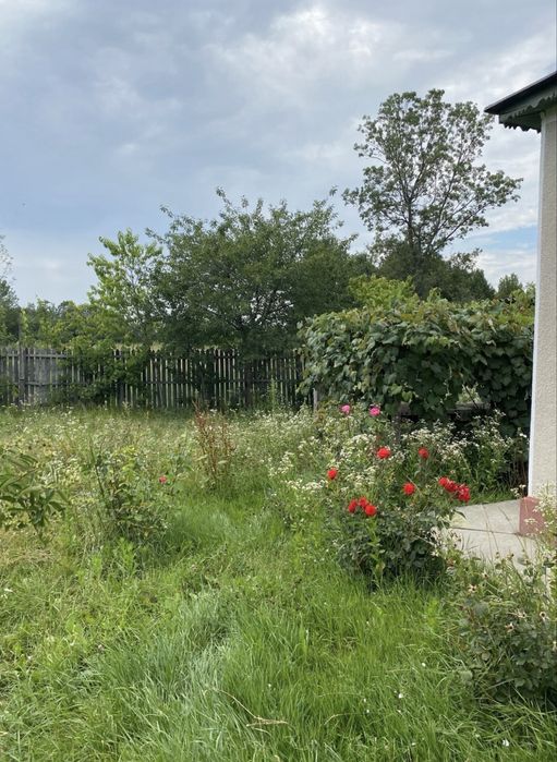 CASĂ DE VÂNZARE CU 2.952 MP TEREN, Suseni, Arges