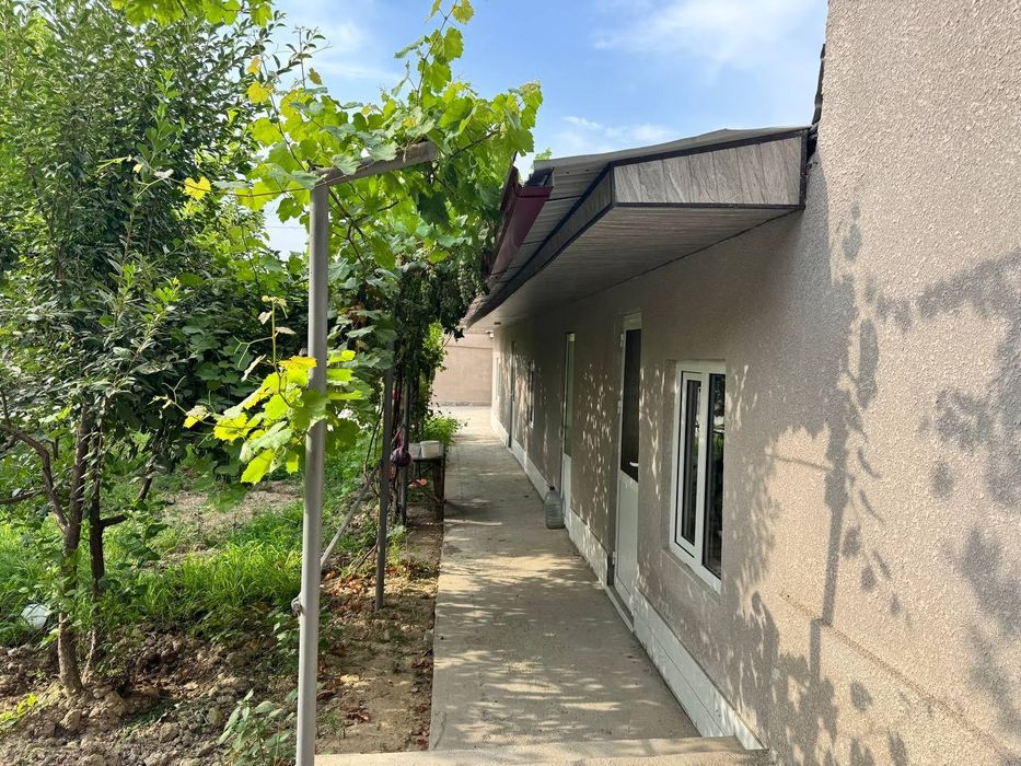 Ховли арзон нархда сотилади