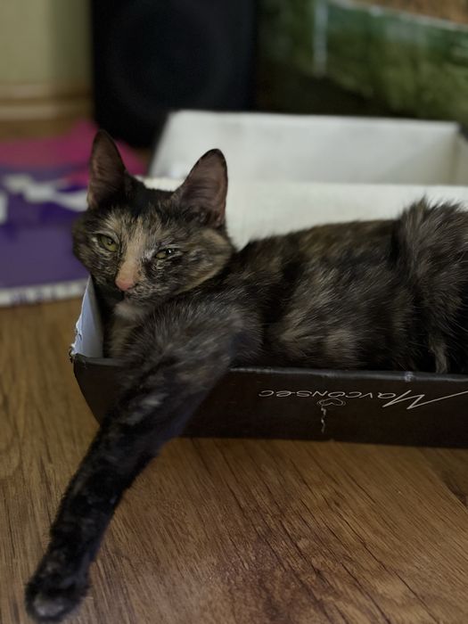 Только ответственным