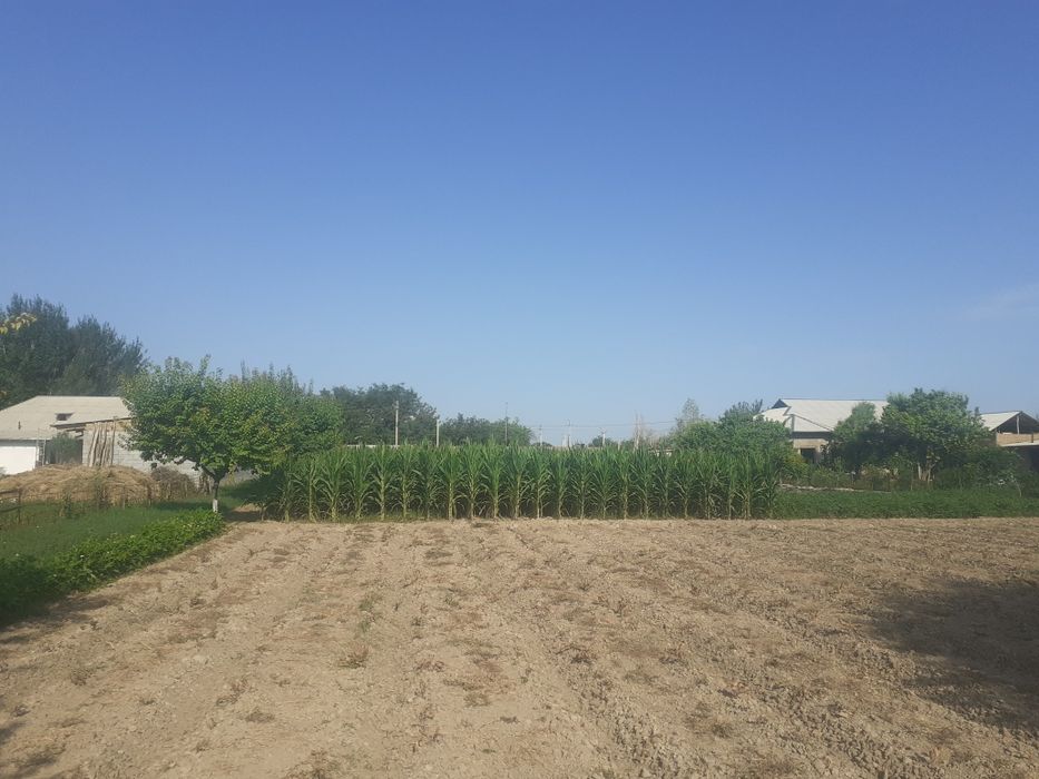 Xovli uy joy Sotiladi !!! Ховли Сотилади.