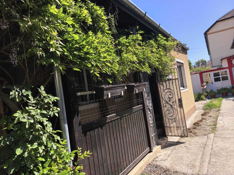 Dau in chirie , apartament curte comuna, aproape pod DECEBAL