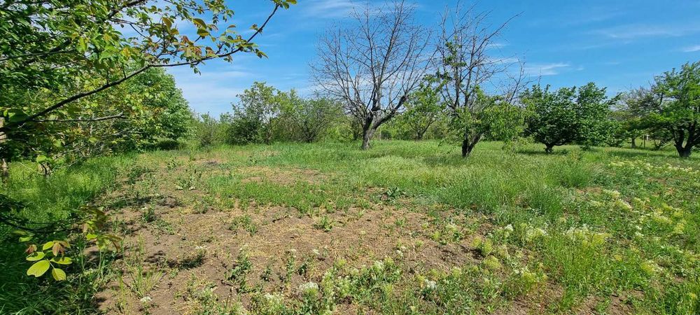 Продава се Парцел в Разград, Промишлена зона - Запад - 895 кв.м за 29 €/кв.м - Снимка #1