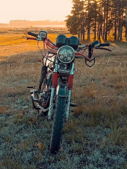 Альфа рейсер 110с