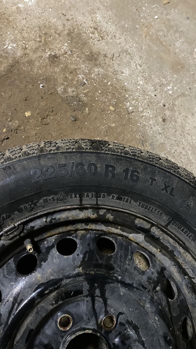 покрышки шиповный