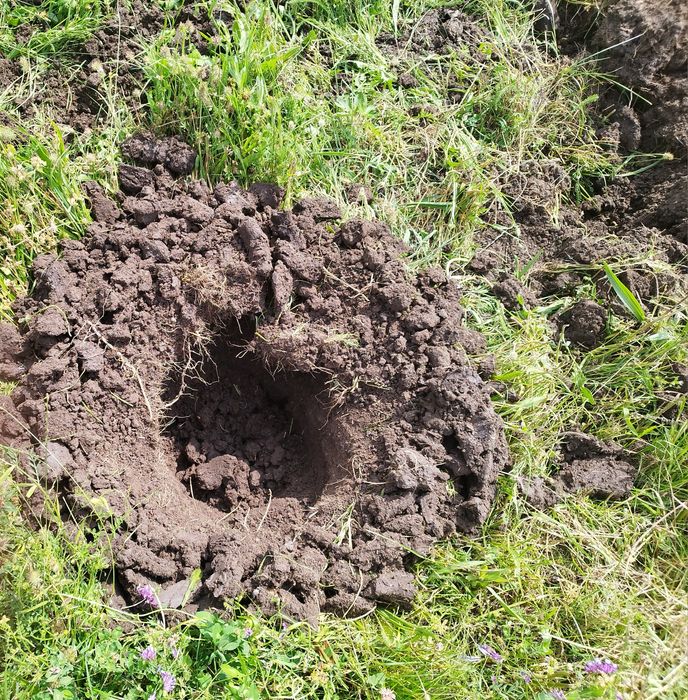 Услуги с  мини багер и свредел