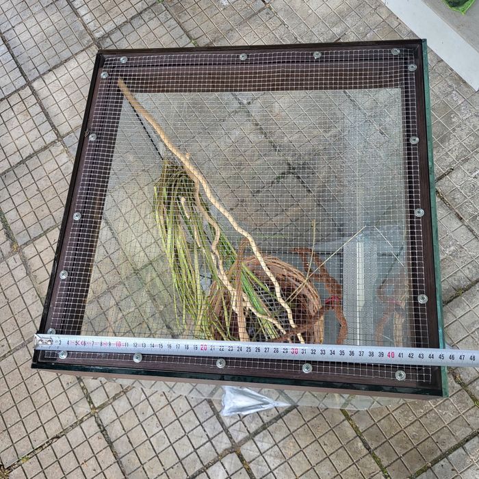 Терариум с мрежест таван и декорация