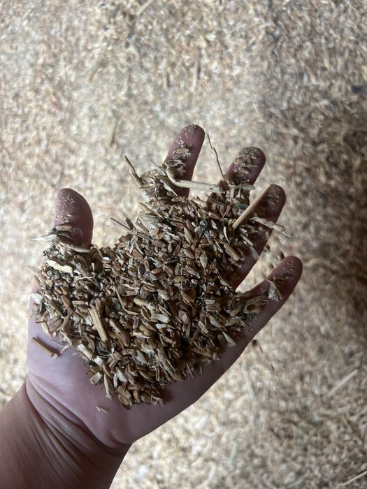 Сечка бидай сатылады