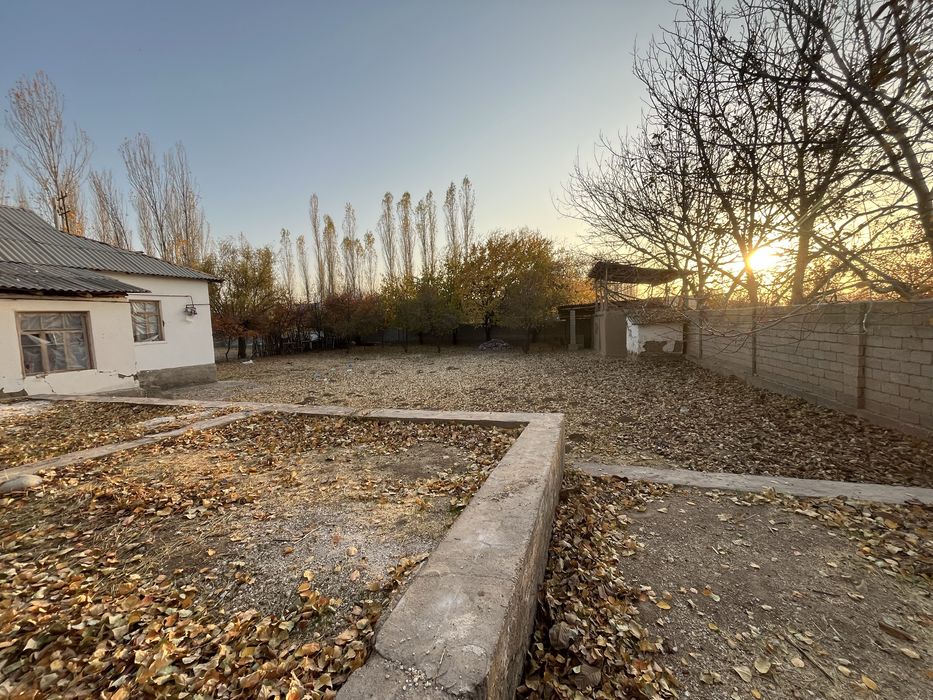 10 сотокли ховли. Бустонлиқ тумани Янгиовул махалласида.