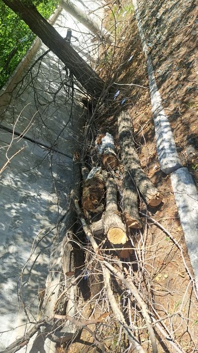 Отдам на дрова в городе район жд вокзала .