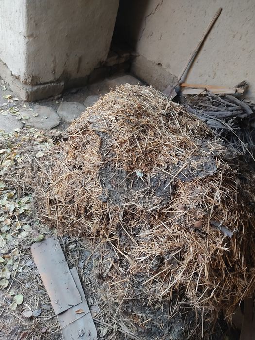 Gʻoʻlin 1kg 3500soʻm yemi,beda oʻtlari sotiladi ham