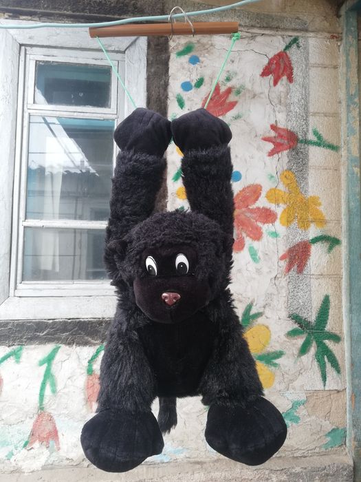 Продаётся медведь, Красотка, 3500т