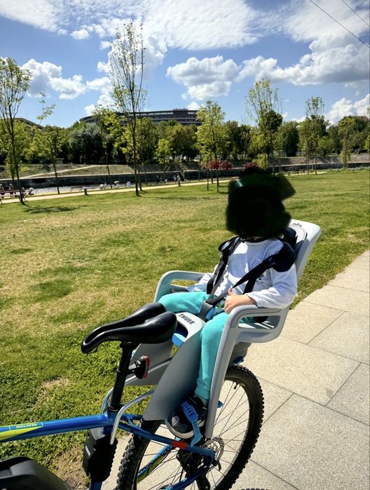 Scaun spate bicicleta Thule Ride Along