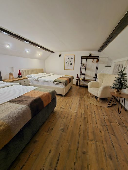 Cabana 6 persoane, doua dormitoare Valea Avrigului