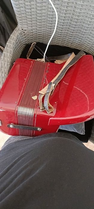Acordeon copii Cantulia