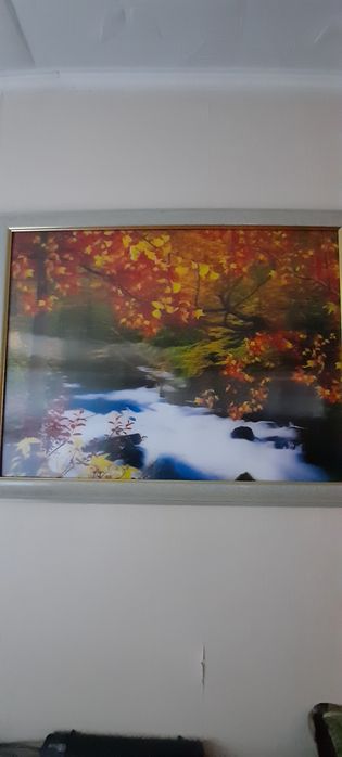 Картины: голография 3D и с тигром