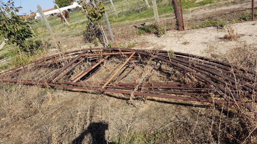 Ферми за оранджерия