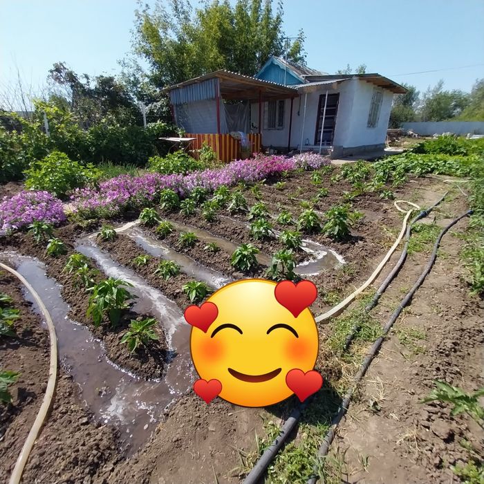 Продам дачу общество Арматурщик