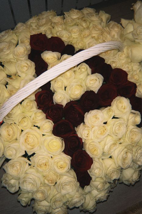 151 роза + 71 роза