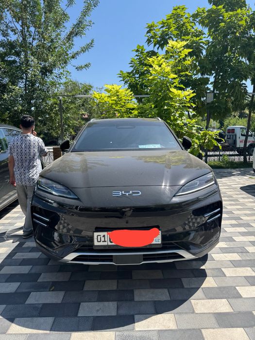BYD Champion Smart 2025