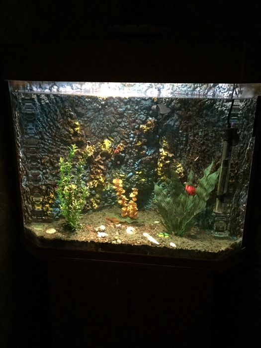 Аквариум угловой