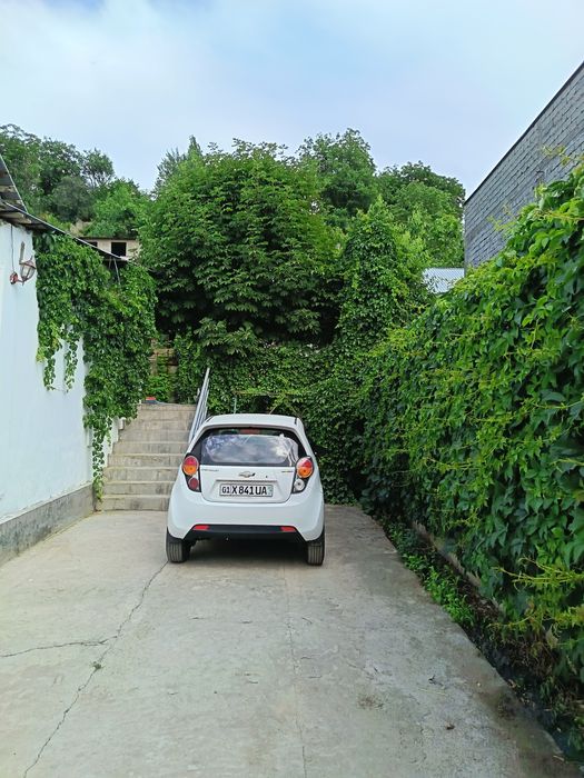 Dacha дача чарвак