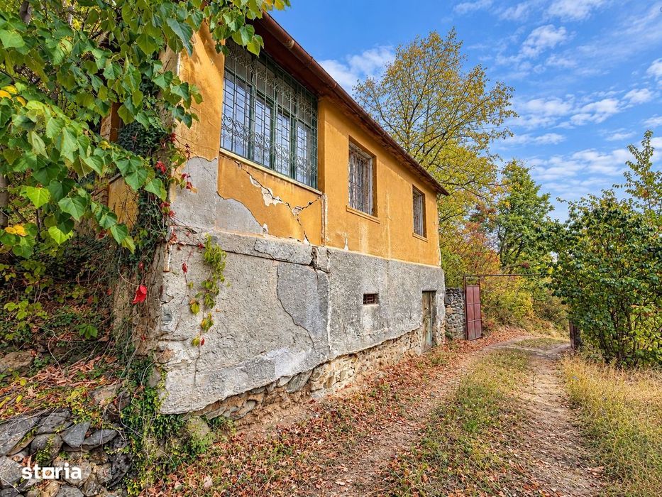 Casa Paulis de vanzare