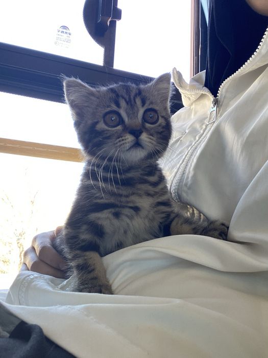 4 месячный мальчик